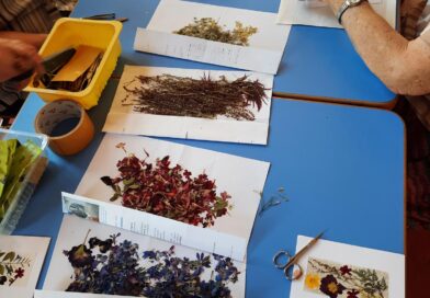 Kreatives Kartenbasteln