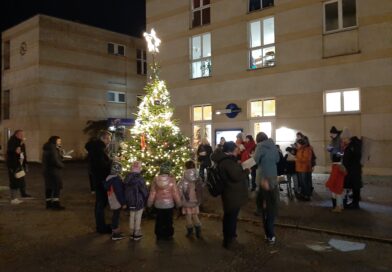 Adventsfreude unterm Tannenbaum