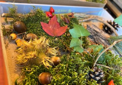 Der Herbst ist bei LeKuNa eingezogen!