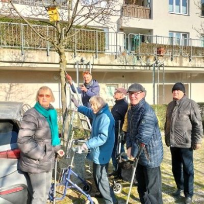 Nistkästen Nistkästen